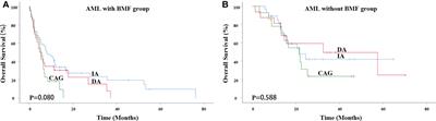 Significance of bone marrow fibrosis in acute myeloid leukemia for survival in the real-world